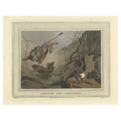 Foreign Field Sports: Lion & Hottentot Aquatint by Dubourg, Merke & Howitt, 1813