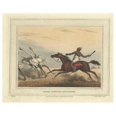 Antique Foreign Field Sports: Arabs Hunting Ostriches Aquatint by Dubourg & Howitt, 1813