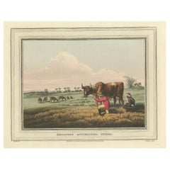 Foreign Field Sports: Shooting Antelopes in India, Aquatint, 1813
