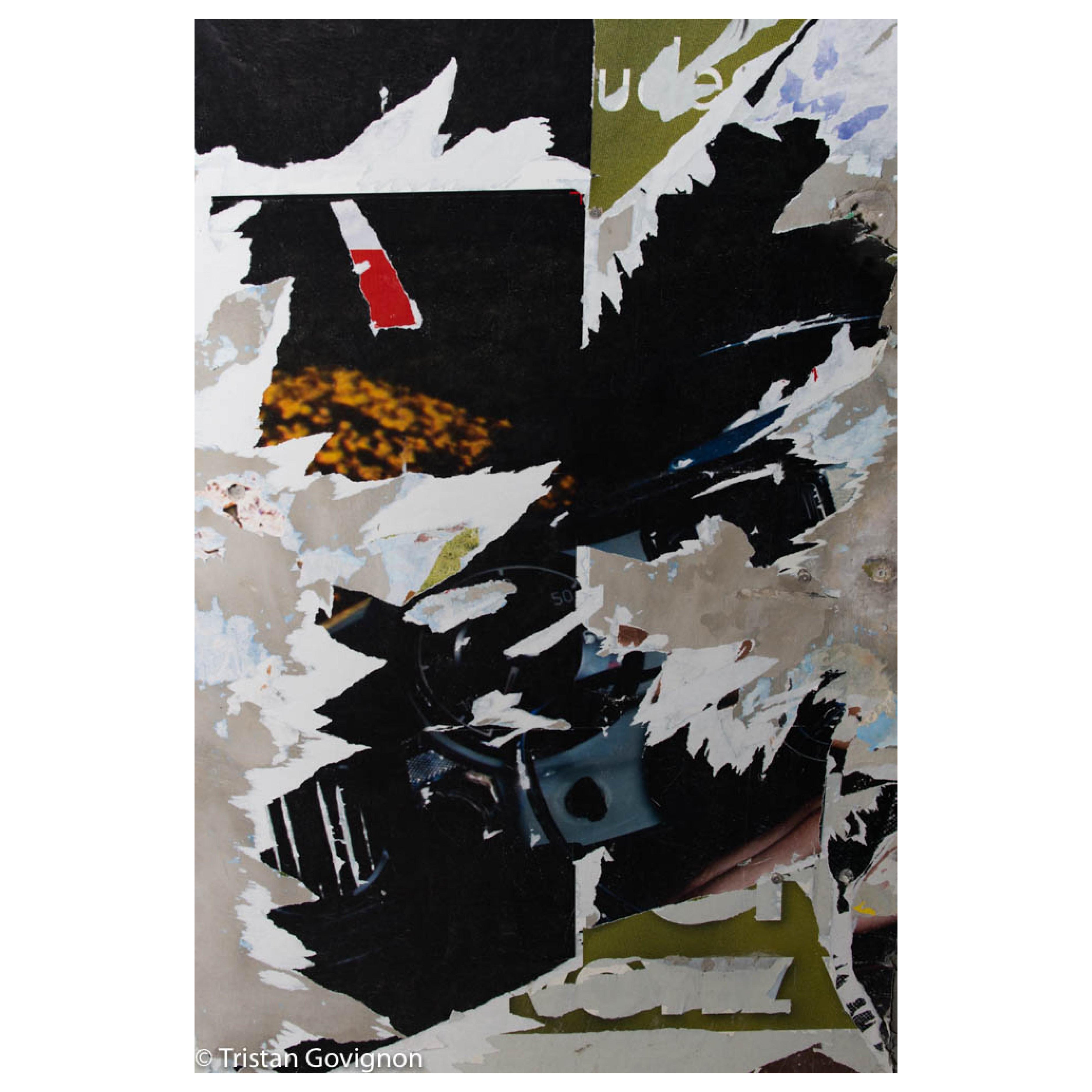 Govignon "Black Bird" Stampa a pigmenti d'archivio