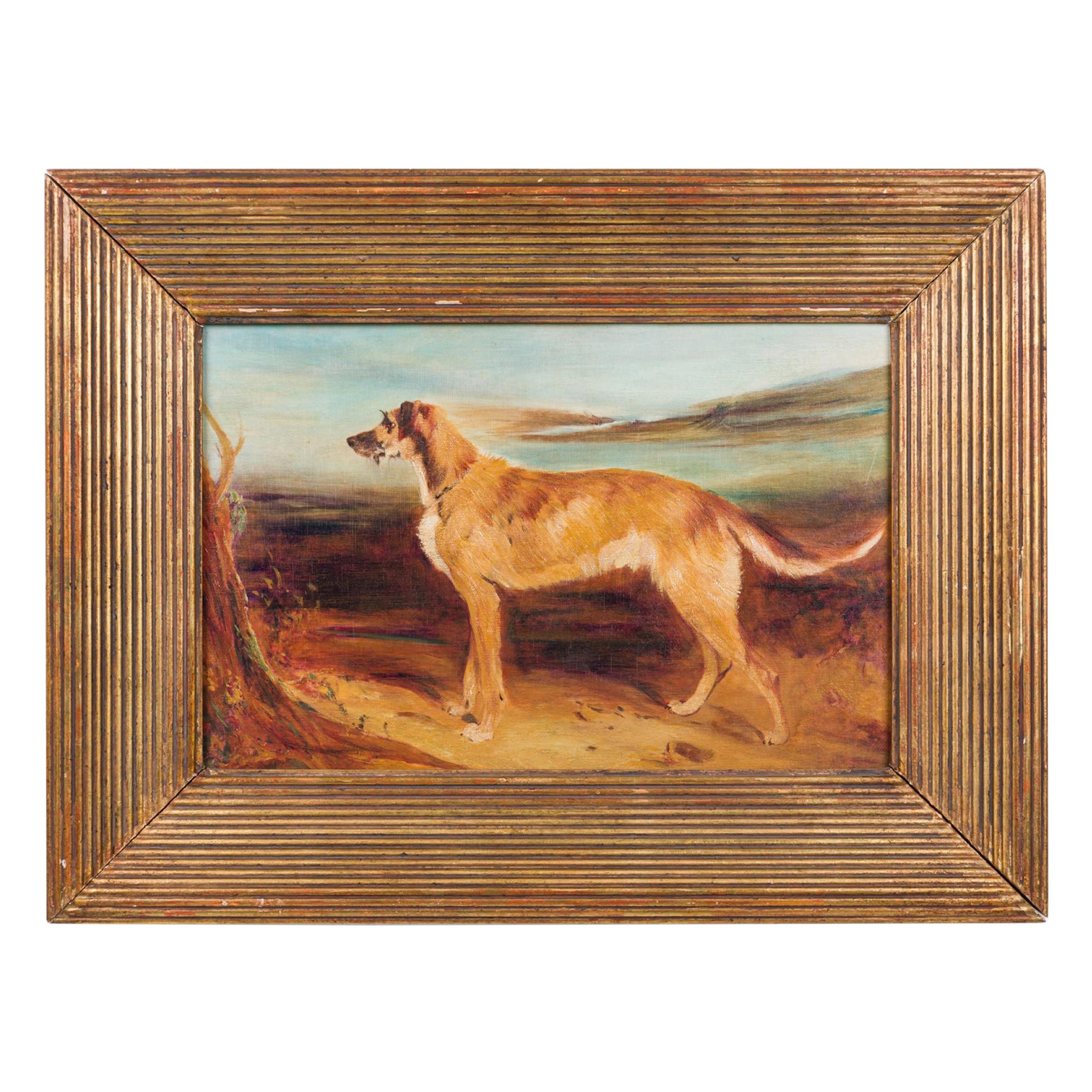 A Deerhound in a Landscape Dog Portrait