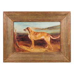 Un chien de chasse dans un paysage Portrait de chien