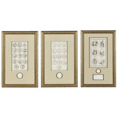 Ensemble de 3 médailles italiennes gravées de style néo-classique avec pièce de monnaie sculptée en blanc