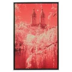 Tristan Govignon "Central Park" Infrared Photograph on Framed Fabric