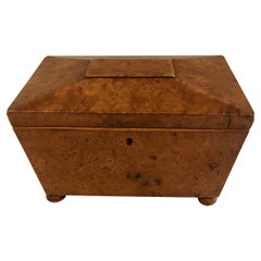Antiguo Sarcófago con Forma de Regencia del Siglo XIX  Caja de té de olmo