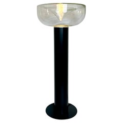 Aella Floor Lamp by Renato Toso & Giovanna Noti Massari for Leucos 1968
