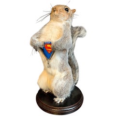 Taxidermy Super Squirrel