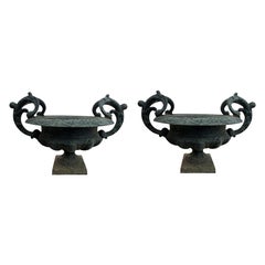 Grande paire d'urnes de jardin françaises du 19ème siècle