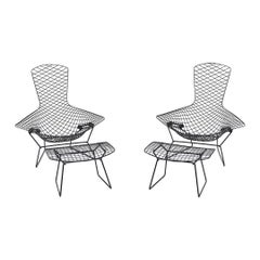 2010s Harry Bertoia for Knoll Bird Lounge Chair & Ottoman in Black, 2x Available