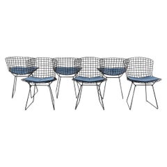 2010s Knoll Bertoia Side Chairs in Black with Blue Fabric Pads 4x Available