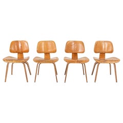 C. 1948 Juego de 4 sillas de comedor Evans Herman Miller Eames DCW de fresno calicó