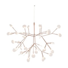 2022 Heracleum Small II Pendant Lamp in Copper by Bertjan Pot for MOOOI
