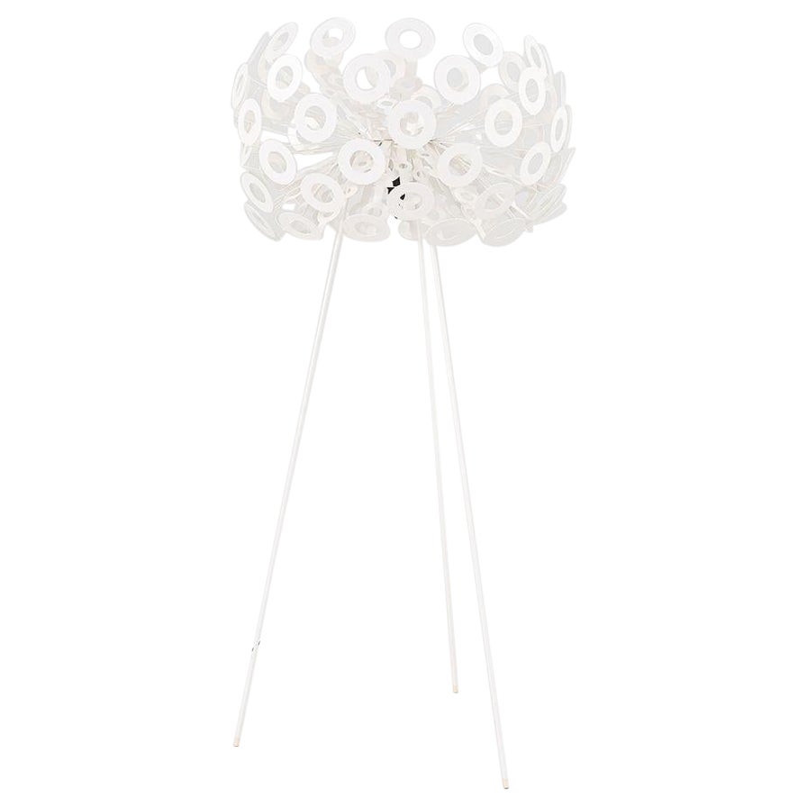 2022 Richard Hutton per Moooi UL Lampada da terra Dandelion in bianco