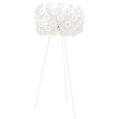 2022 Richard Hutton for Moooi UL Dandelion Floor Lamp in White