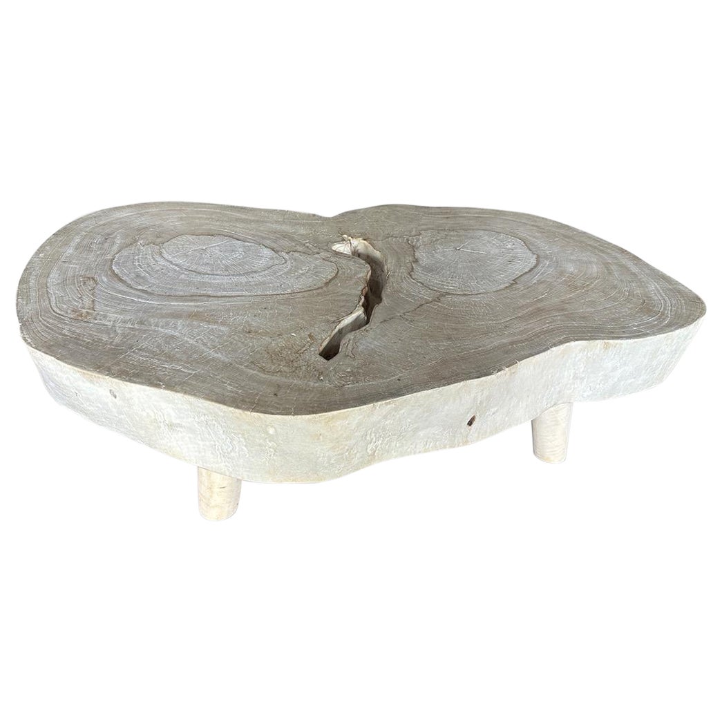 Table basse Andrianna Shamaris de style mi-siècle amorphe en bois de suar blanchi