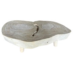 Andrianna Shamaris Mesa de centro de madera de suar blanqueada de estilo amorfo de mediados de siglo