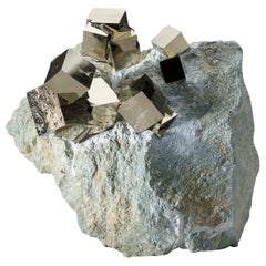 Cubo de Pirita sobre Basalto de Navajún, Provincia de La Rioja, España (7 libras)
