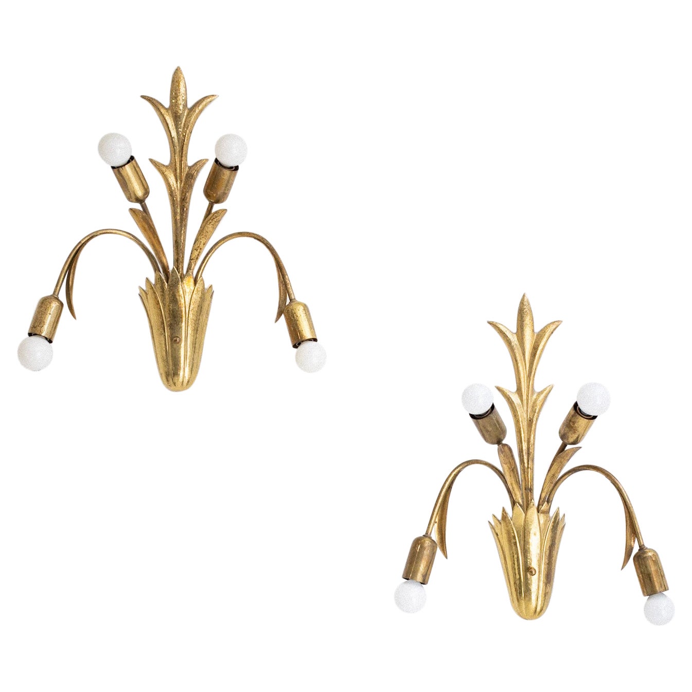 Mid Century French Brass Botanic Sconces - a Pair