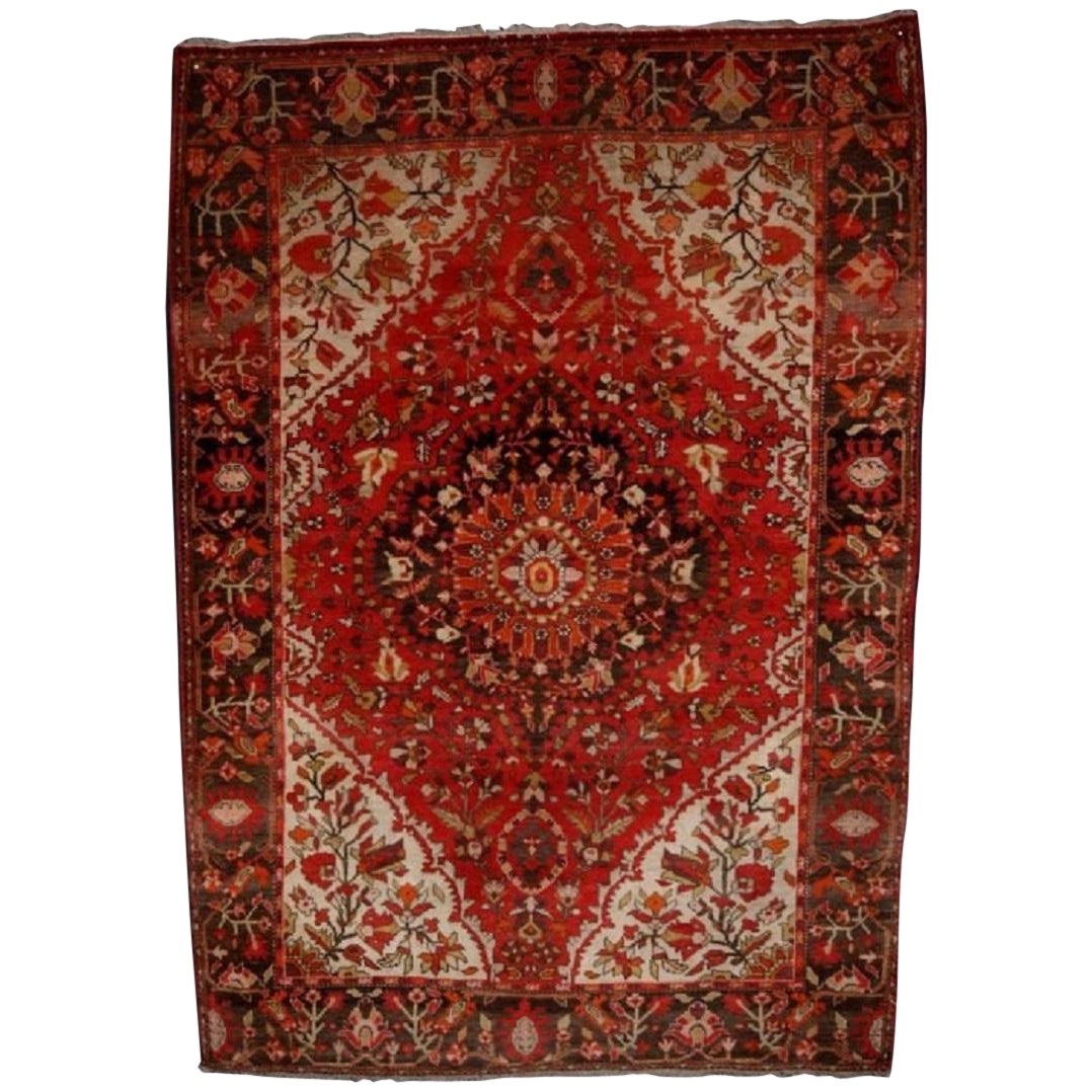Antique Sarouk Rug, Classic Design & Colour, Circa 1920