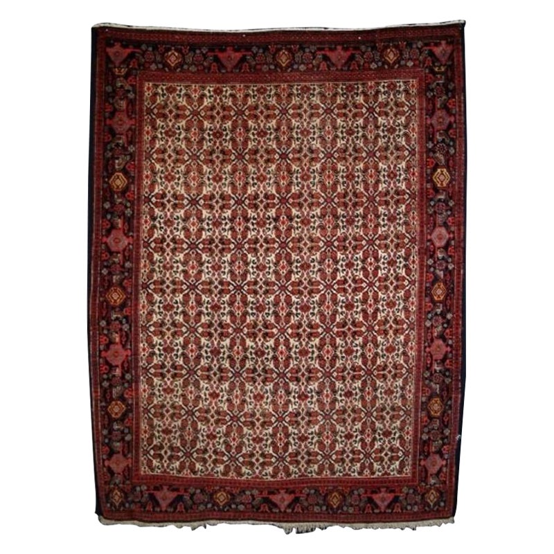 Antiker Senneh-Teppich mit elfenbeinfarbenem Grund Classic Design, CIRCA 1900