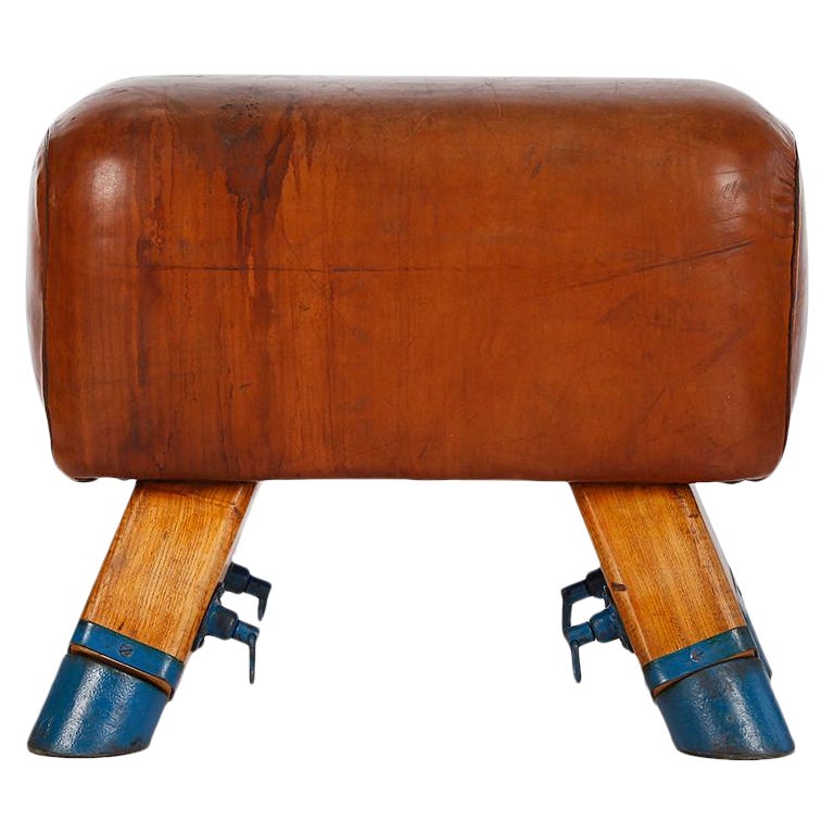 Vintage Czech Leather Gymnastics Stool Bench Pommel Horse Top 1930s