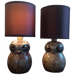 Adorable Pair of Glazed Ceramic Owls Lamps