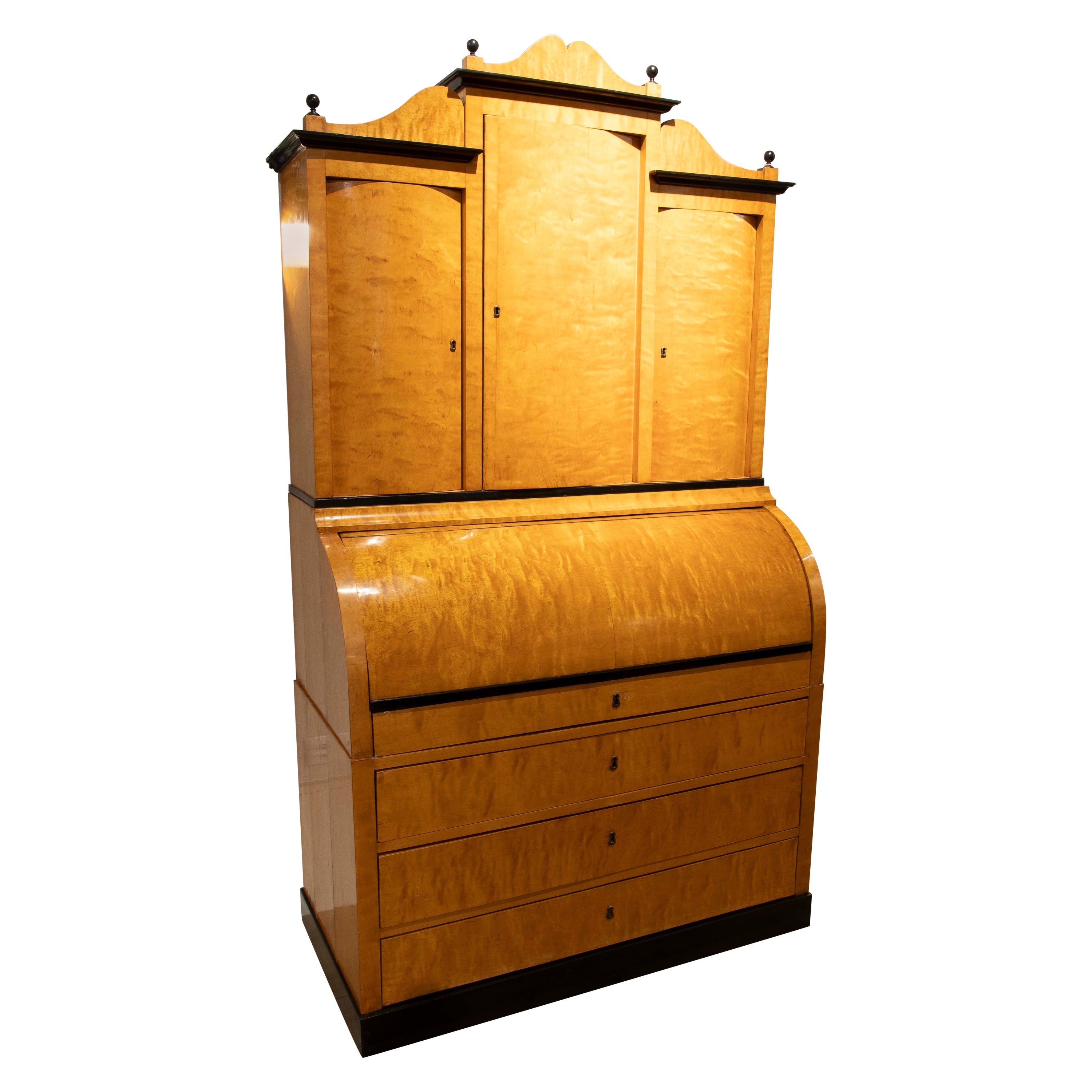 19th Swedish Biedermeier Desk Made of Birch Wood and Rosewood For Sale