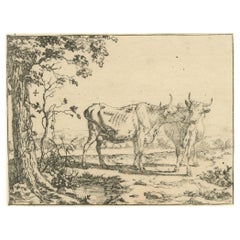 Two Cows by a Tree: An Old Master Print by Marcus de Bye after Paulus Potter