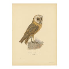 Lithographie originale colorée à la main par M. von Wright, 1927