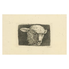 An Anthony Oberman Etched Study of Lamb's Head: Farm Animal Art, 1810