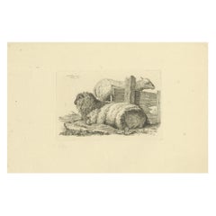 Aguafuerte de tres ovejas descansando junto a una valla: Estudio de animales de granja, por Oberman en 1810
