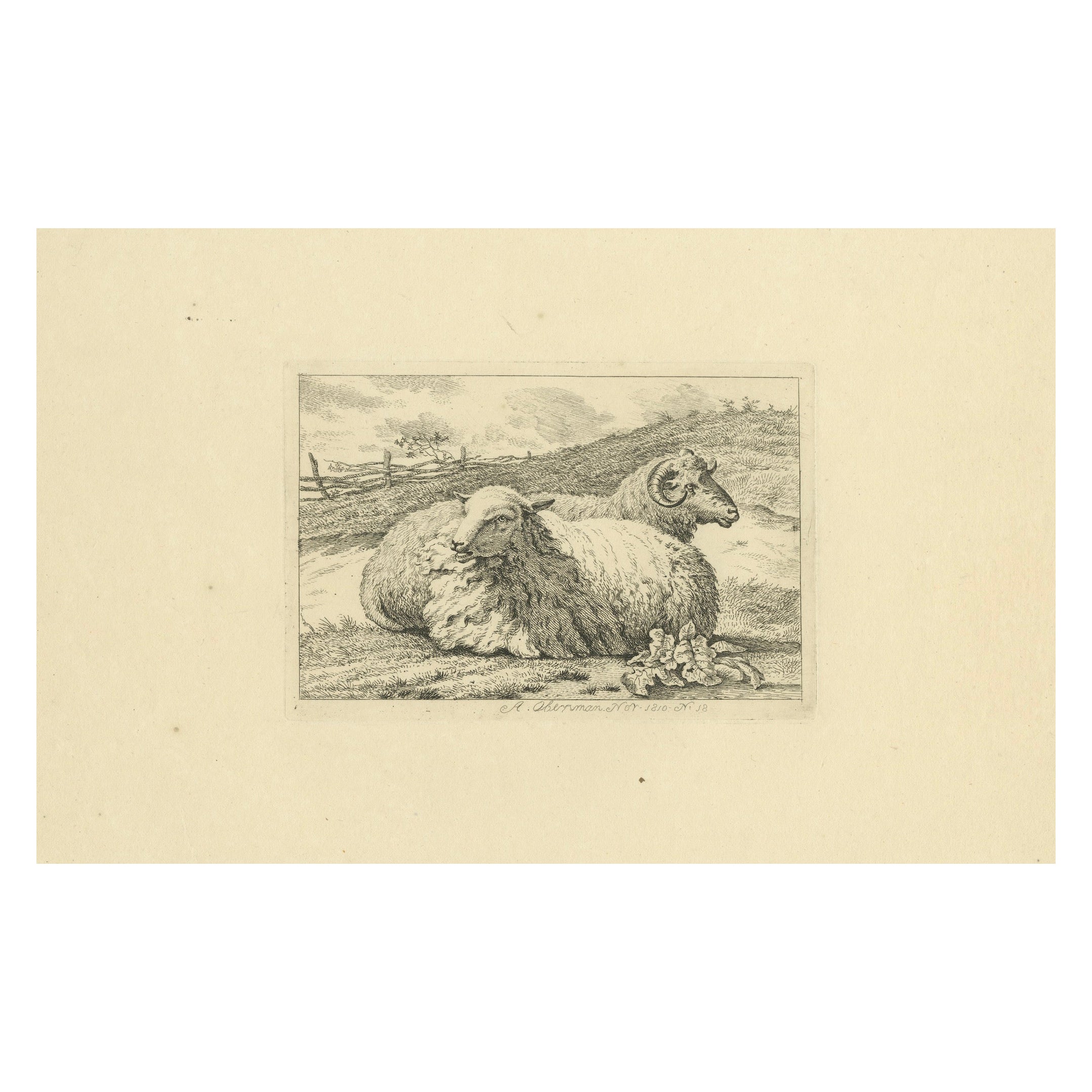 Serena escena pastoral con dos ovejas descansando: Aguafuerte de Anthony Oberman, 1810