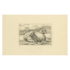 Serena escena pastoral con dos ovejas descansando: Aguafuerte de Anthony Oberman, 1810