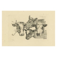 Aguafuerte de cuatro cabezas de vaca: Estudio detallado de animales de granja por Oberman, 1809