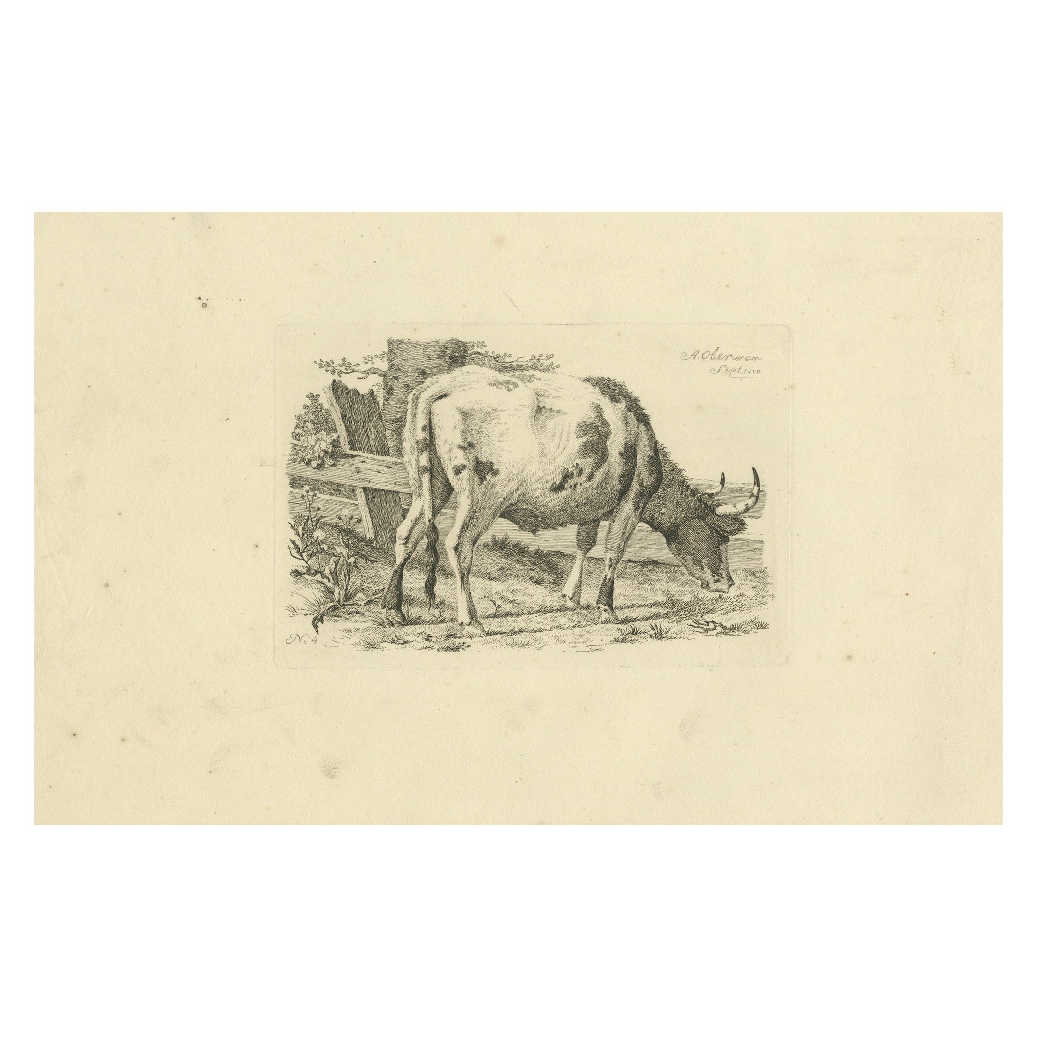 Aguafuerte de Vaca pastando junto a valla: Escena de granja, realizado por A.Oberman en 1809