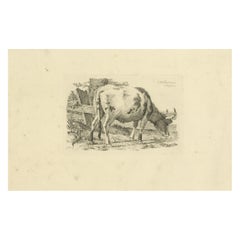 Etching of Grazing Cow by Fence: Farm Scene, Produced by A.Oberman in 1809