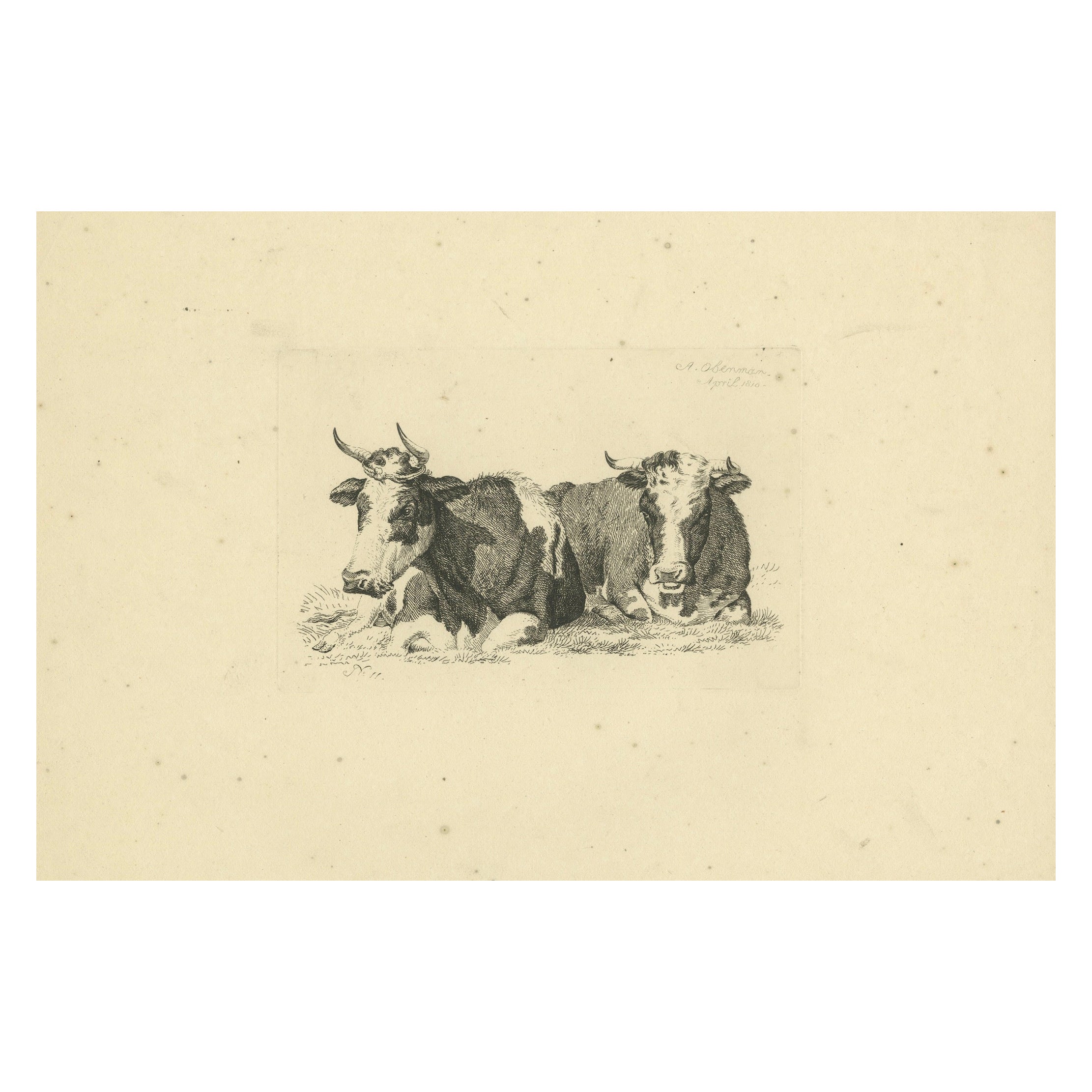 Tranquil Pastoral Scene with Two Resting Cows, by Anthony Oberman in 1810