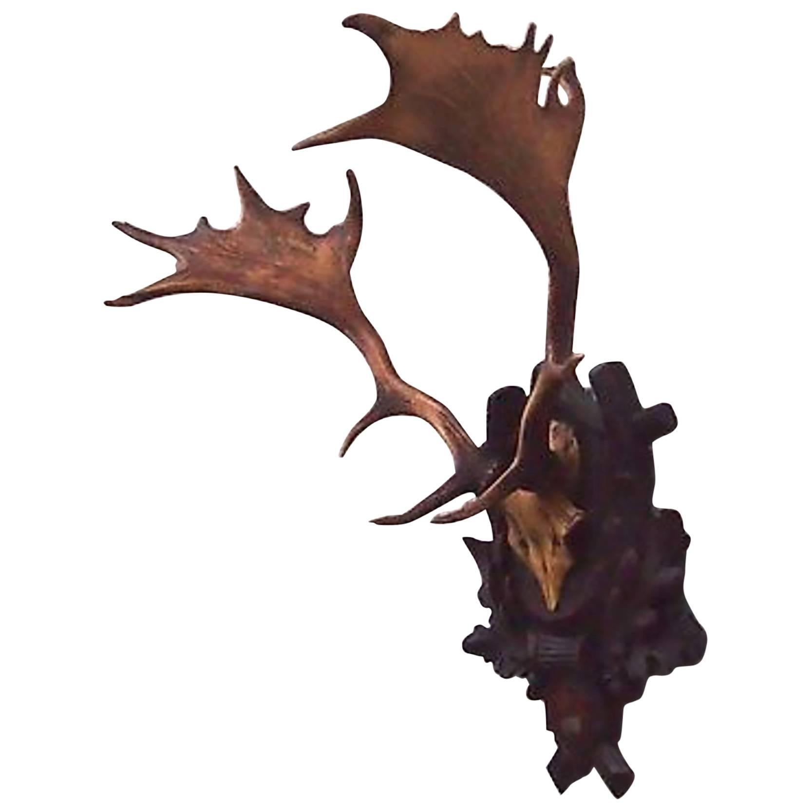 Exceptional Black Forest Stag Antler Mount on Hand-Carved Plaque, Dated 1918