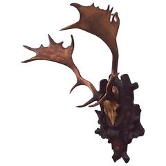 Exceptional Black Forest Stag Antler Mount on Hand-Carved Plaque, Dated 1918