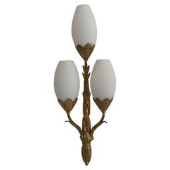 Aplique de pared de triple pantalla de cristal y cuerpo de latón Tulip Design, años 60, Italia
