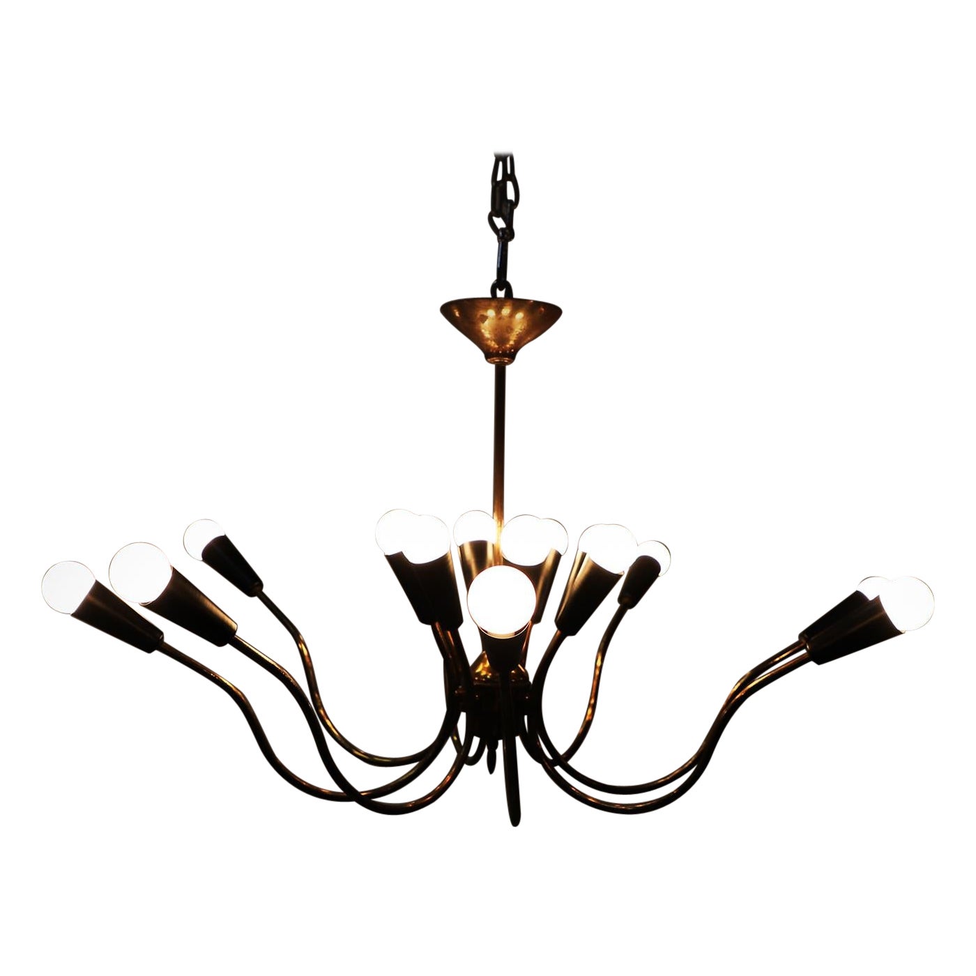 Spider Light Chandelier, México, 1950s