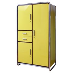 Modernist Tubular Steel Cabinet, Lacquered and Veneered Wood, Customizable