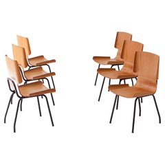 Restored Model 112 Dining Chairs by Societa' Compensati Curvi, 1950s , Set of 6