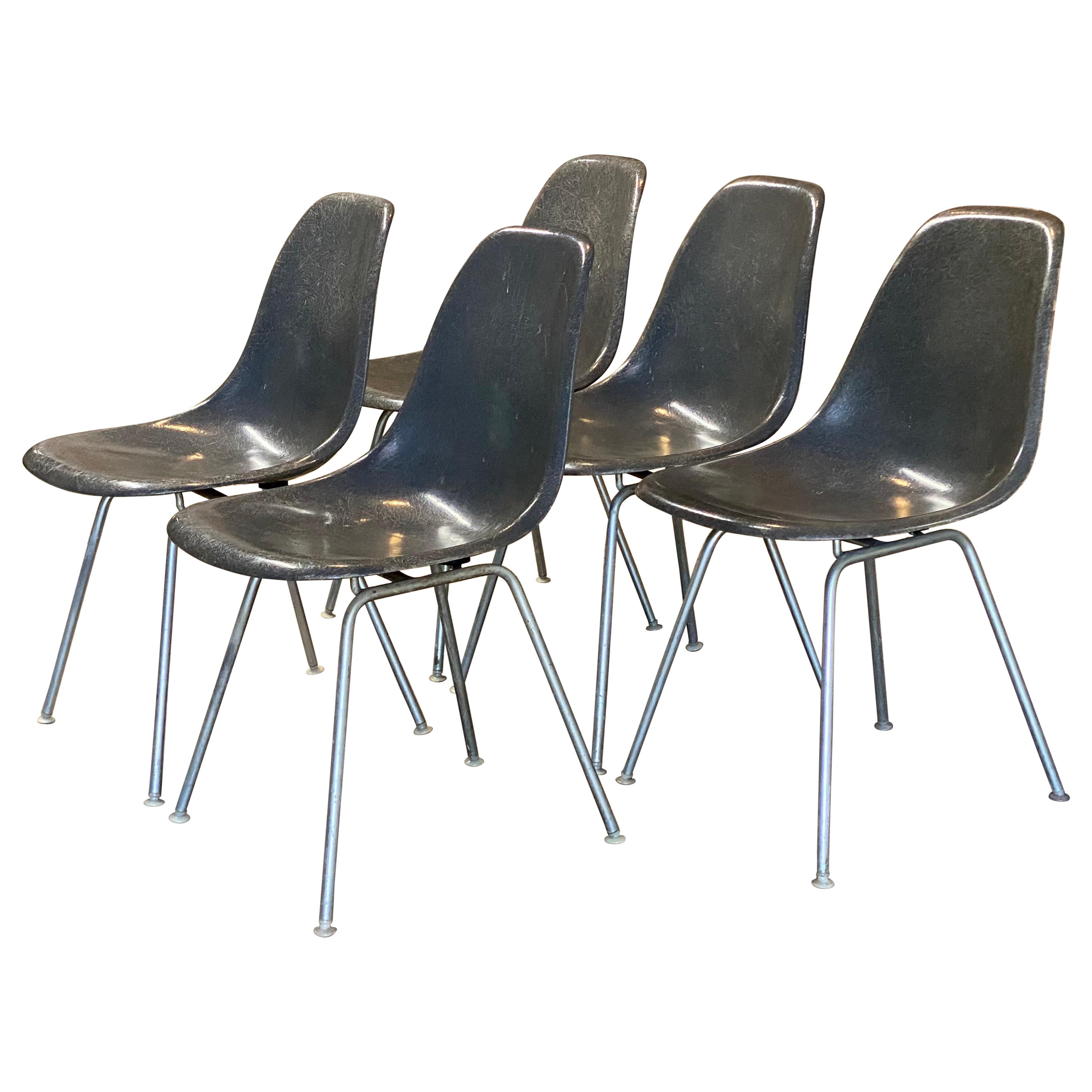 Herman Miller Sillas Eames de fibra de vidrio con carcasa de piel de elefante gris, cinco