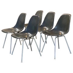 Herman Miller Sillas Eames de fibra de vidrio con carcasa de piel de elefante gris, cinco