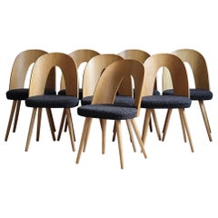 Set of 8 Mid Century Dining Chairs by A.Šuman, Customizable Upholstery Available