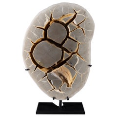 Septarian on Custom Made Metal Base