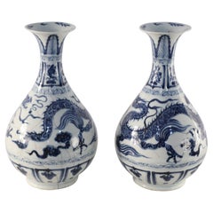 Pareja de jarrones chinos de porcelana azul y blanca con motivo de dragón de jade Botella de primavera