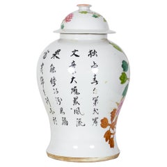 Paire d'anciens pots à gingembre à couvercle en porcelaine à motifs botaniques et d'oiseaux de Chine