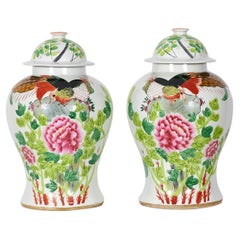Paire de pots à gingembre anciens en porcelaine de Chine à décor de fleurs et d'oiseaux